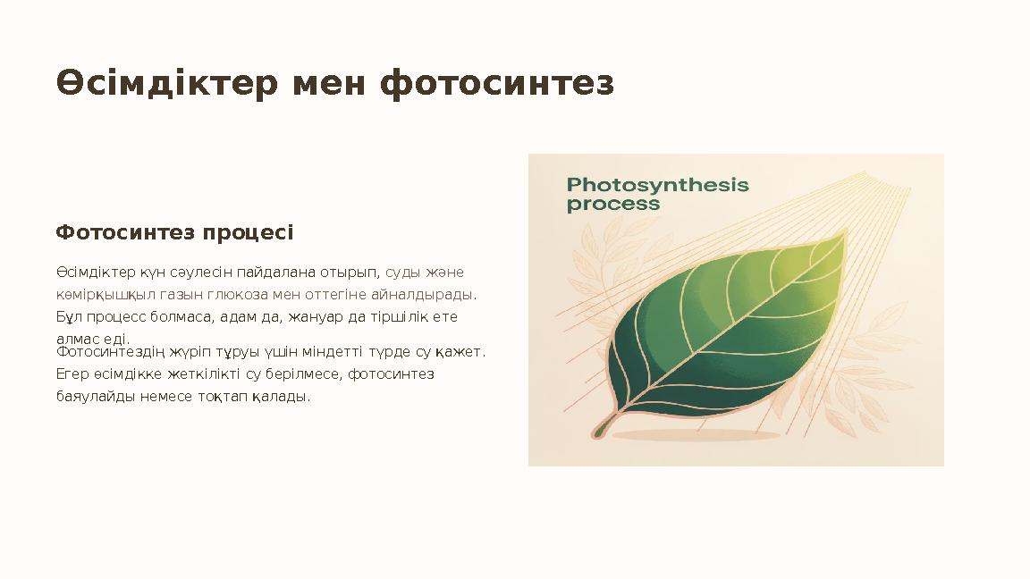 Өсімдіктер мен фотосинтез Фотосинтез процесі Өсімдіктер күн сәулесін пайдалана отырып, суды және көмірқышқыл газын глюкоза мен