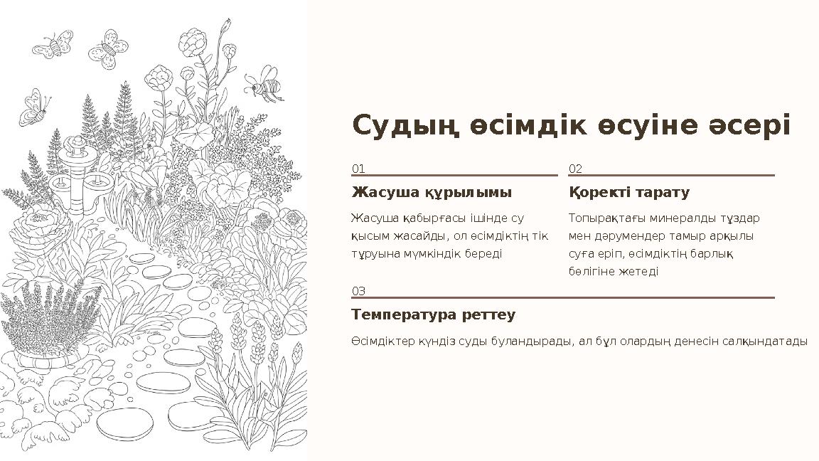 Судың өсімдік өсуіне әсері 01 Жасуша құрылымы Жасуша қабырғасы ішінде су қысым жасайды, ол өсімдіктің тік тұруына мүмкіндік бе