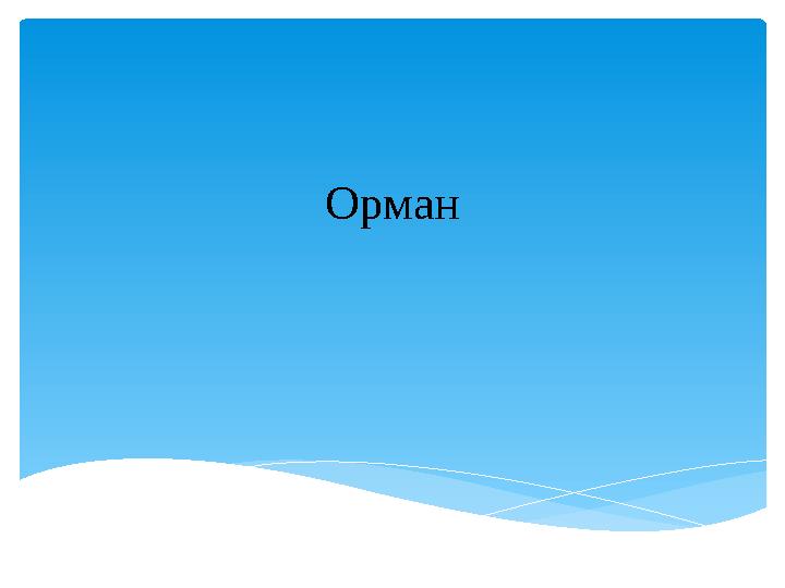 Орман