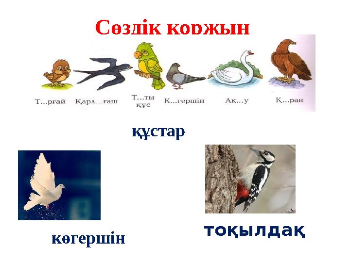 Сөздік қоржын көгершін құстар тоқылдақ