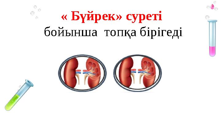 « Бүйрек» суреті бойынша топқа бірігеді