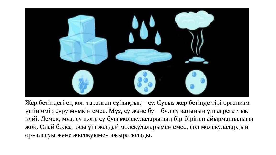 Жер бетіндегі ең көп таралған сұйықтық – су. Сусыз жер бетінде тірі организм үшін өмір сүру мүмкін емес. Мұз, су және бу – бұл