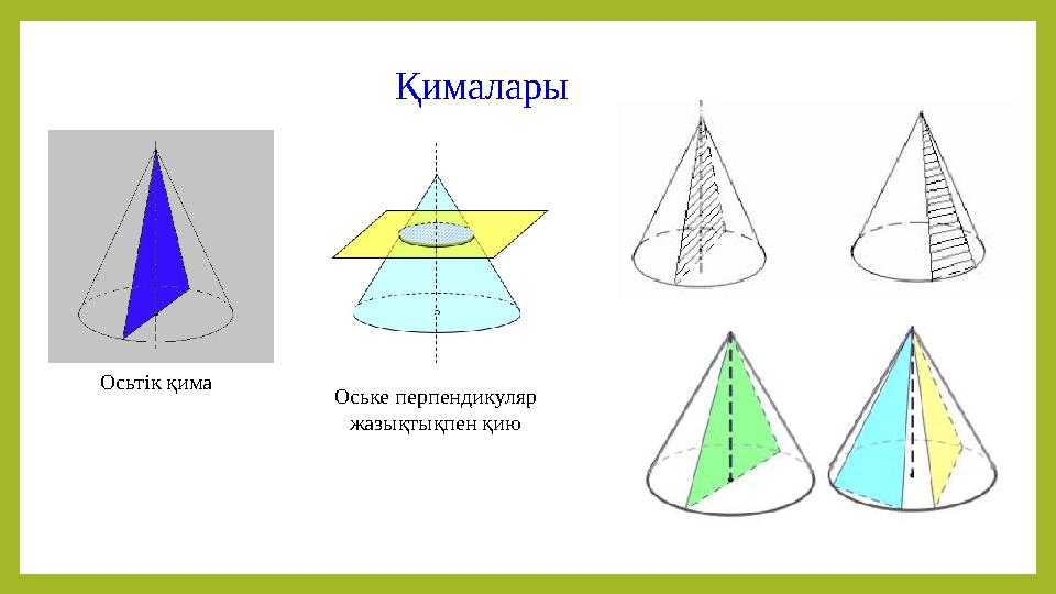 Қималары Осьтік қима Оське перпендикуляр жазықтықпен қию