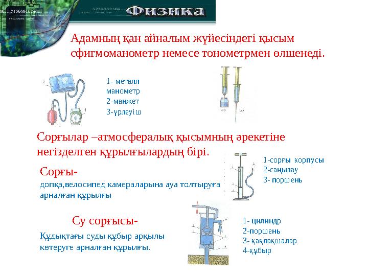 Адамның қан айналым жүйесіндегі қысым сфигмоманометр немесе тонометрмен өлшенеді. 1- металл манометр 2-манжет Сорғылар –атмосф