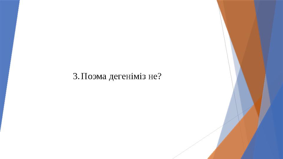 3.Поэма дегеніміз не?