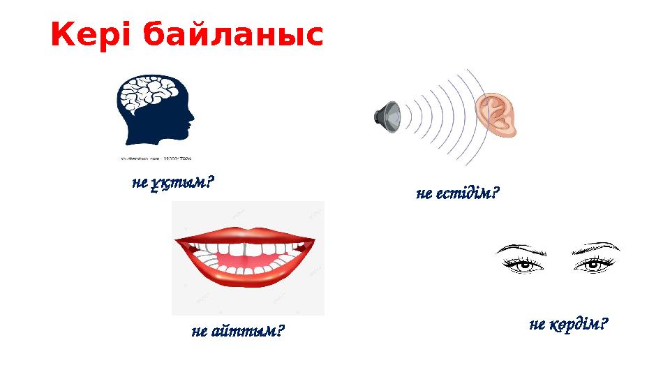 Кері байланыс не ұқтым? не естідім? не айттым? не көрдім?
