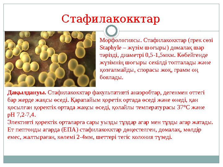 Дақылдануы. Стафилакокктар факультативті анаэробтар, дегенмен оттегі бар жерде жақсы өседі. Қарапайым қоретік ортада өседі жә