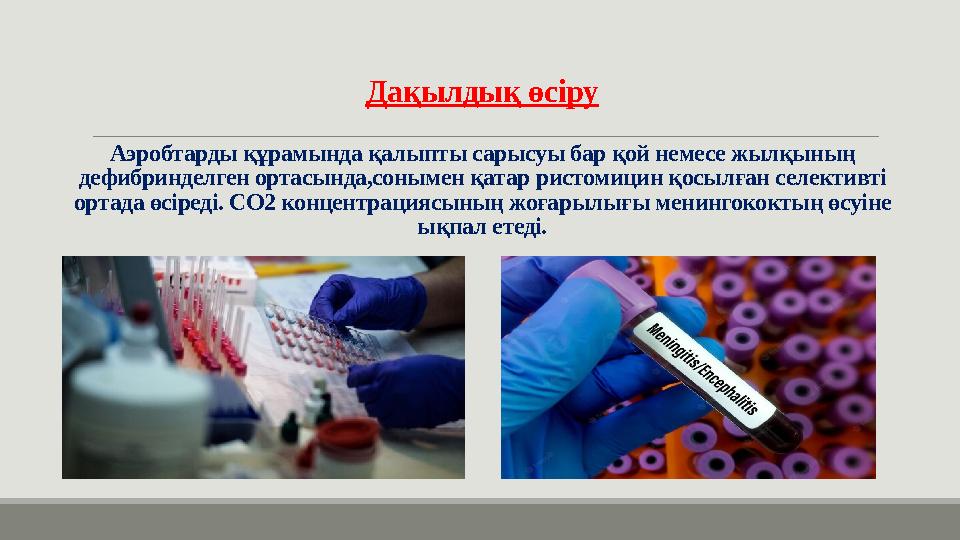 Дақылдық өсіру Аэробтарды құрамында қалыпты сарысуы бар қой немесе жылқының дефибринделген ортасында,сонымен қатар ристомицин қ