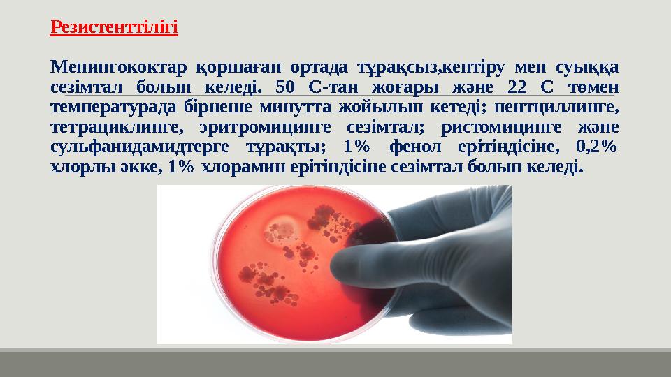 Резистенттілігі Менингококтар қоршаған ортада тұрақсыз,кептіру мен суыққа сезімтал болып келеді. 50 С-тан жоғары және 22 С төме