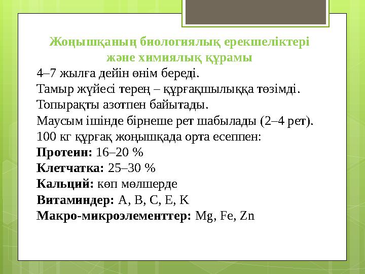 Жоңышқаның биологиялық ерекшеліктері және химиялық құрамы 4–7 жылға дейін өнім бере
