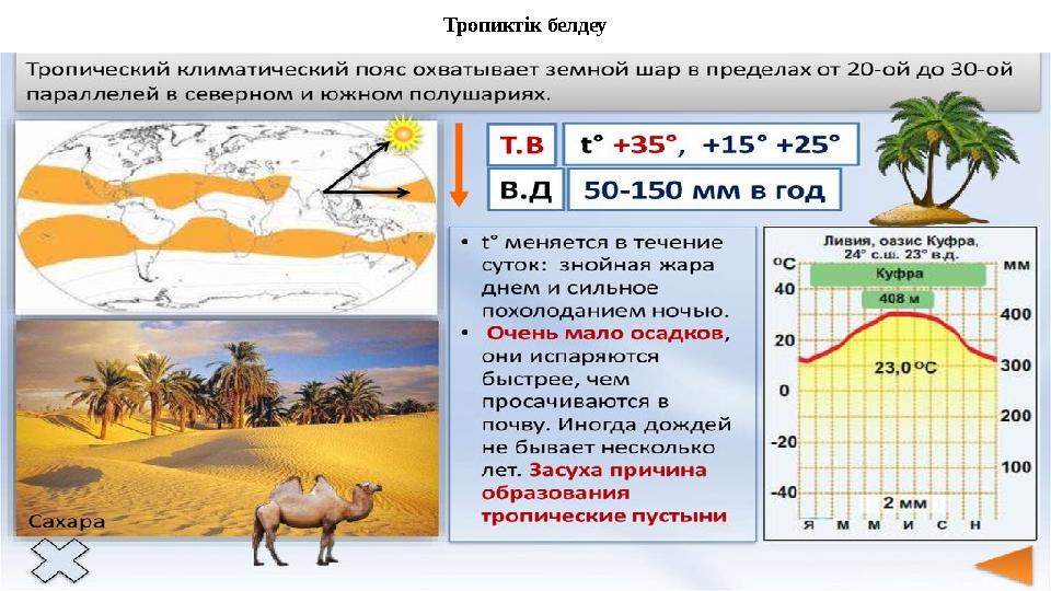 Тропиктік белдеу