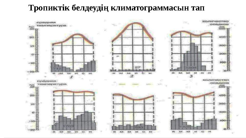 Тропиктік белдеудің климатограммасын тап