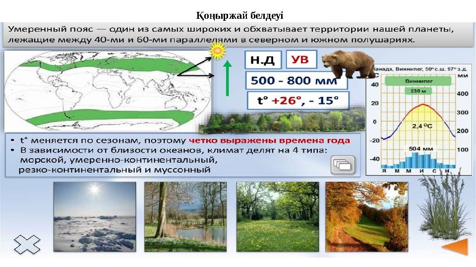 Қоңыржай белдеуі