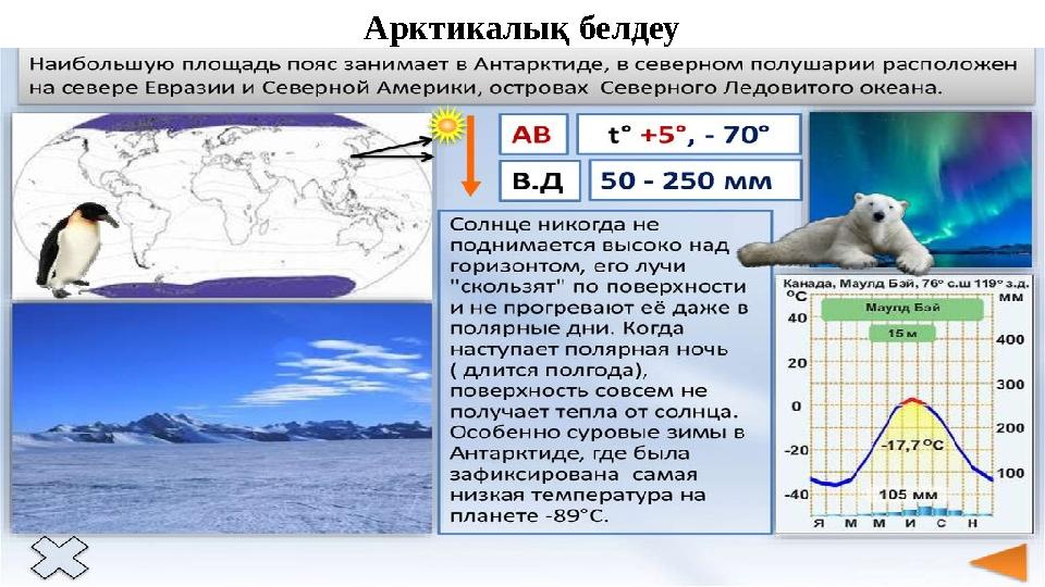 Арктикалық белдеу