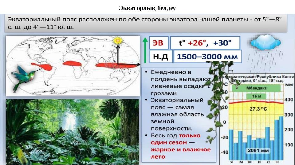 Экваторлық белдеу