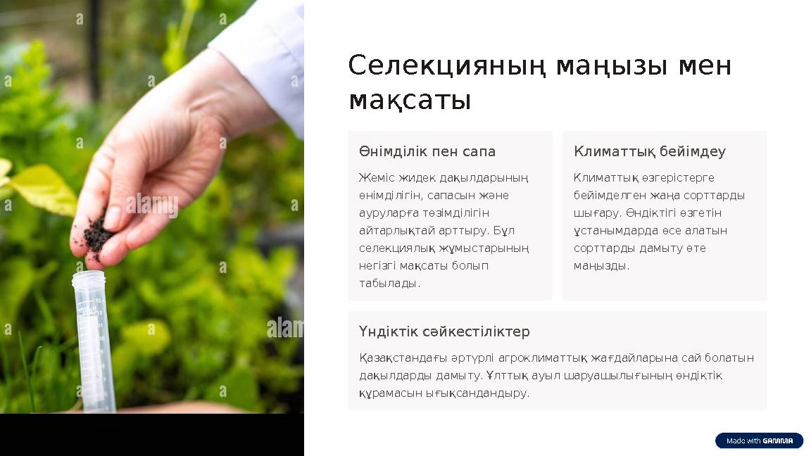 Селекцияның маңызы мен мақсаты Өнімділік пен сапа Жеміс жидек дақылдарының өнімділігін, сапасын және ауруларға төзімділігін