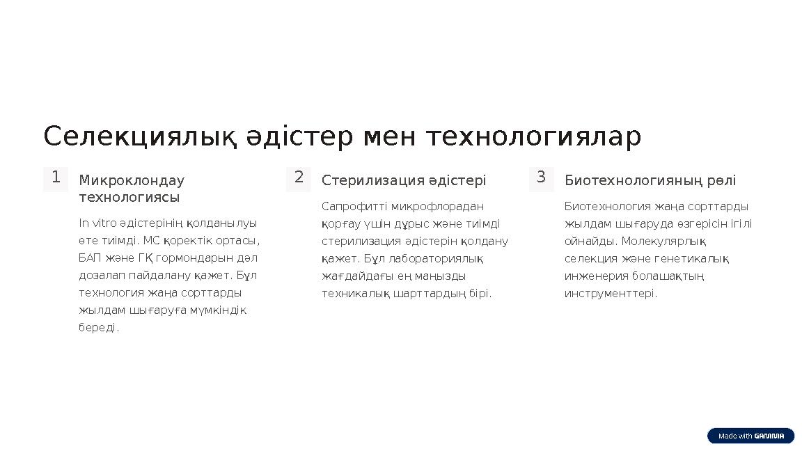 Селекциялық әдістер мен технологиялар 1Микроклондау технологиясы In vitro әдістерінің қолданылуы өте тиімді. МС қоректік ортас