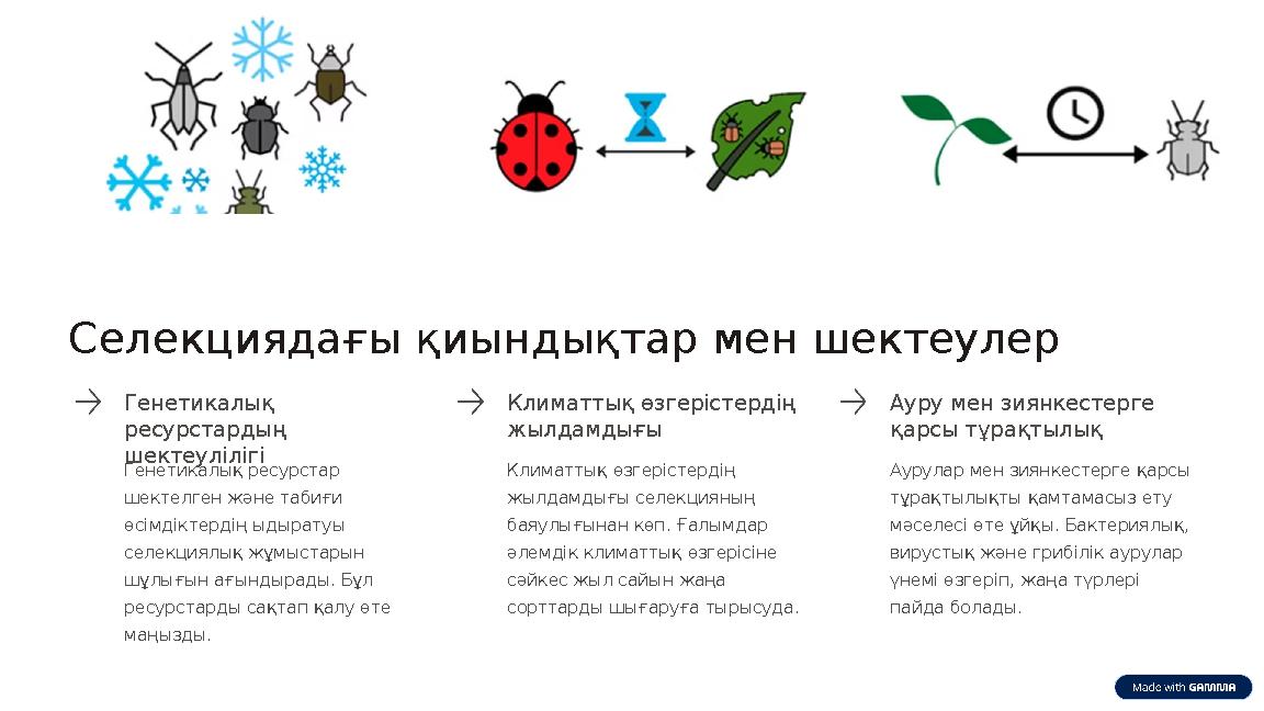 Селекциядағы қиындықтар мен шектеулер Генетикалық ресурстардың шектеулілігі Генетикалық ресурстар шектелген және табиғи өсім