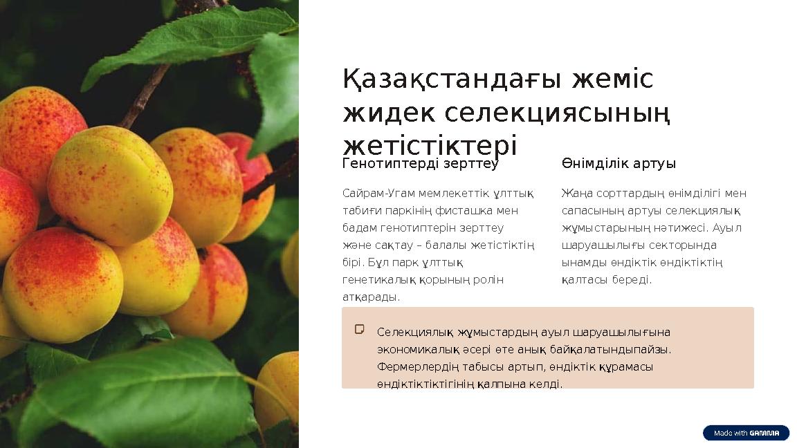 Қазақстандағы жеміс жидек селекциясының жетістіктері Генотиптерді зерттеу Сайрам-Угам мемлекеттік ұлттық табиғи паркінің фист