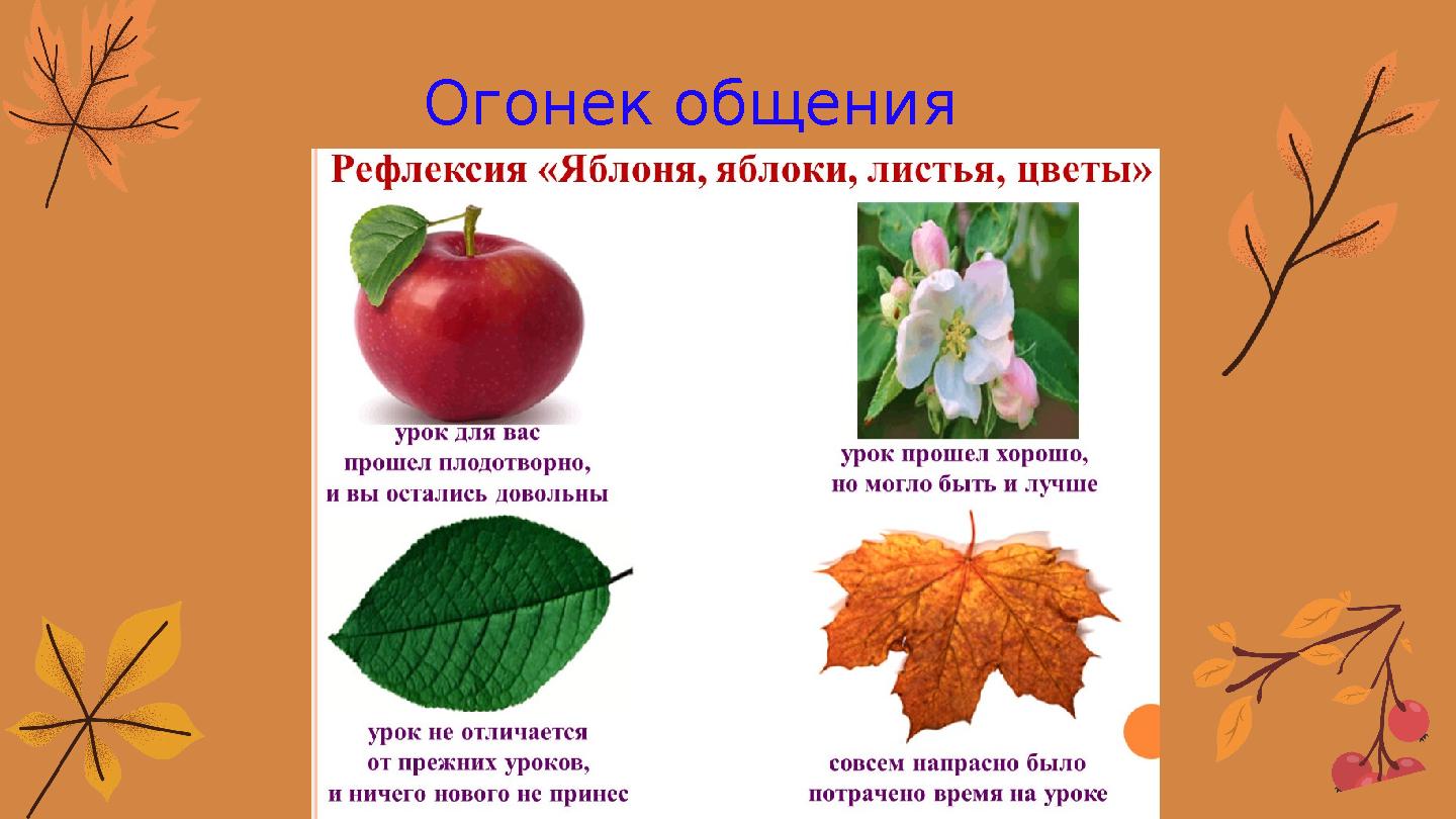 Огонек общения