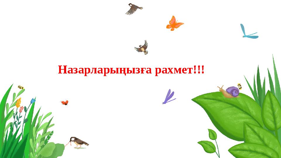 Назарларыңызға рахмет!!!