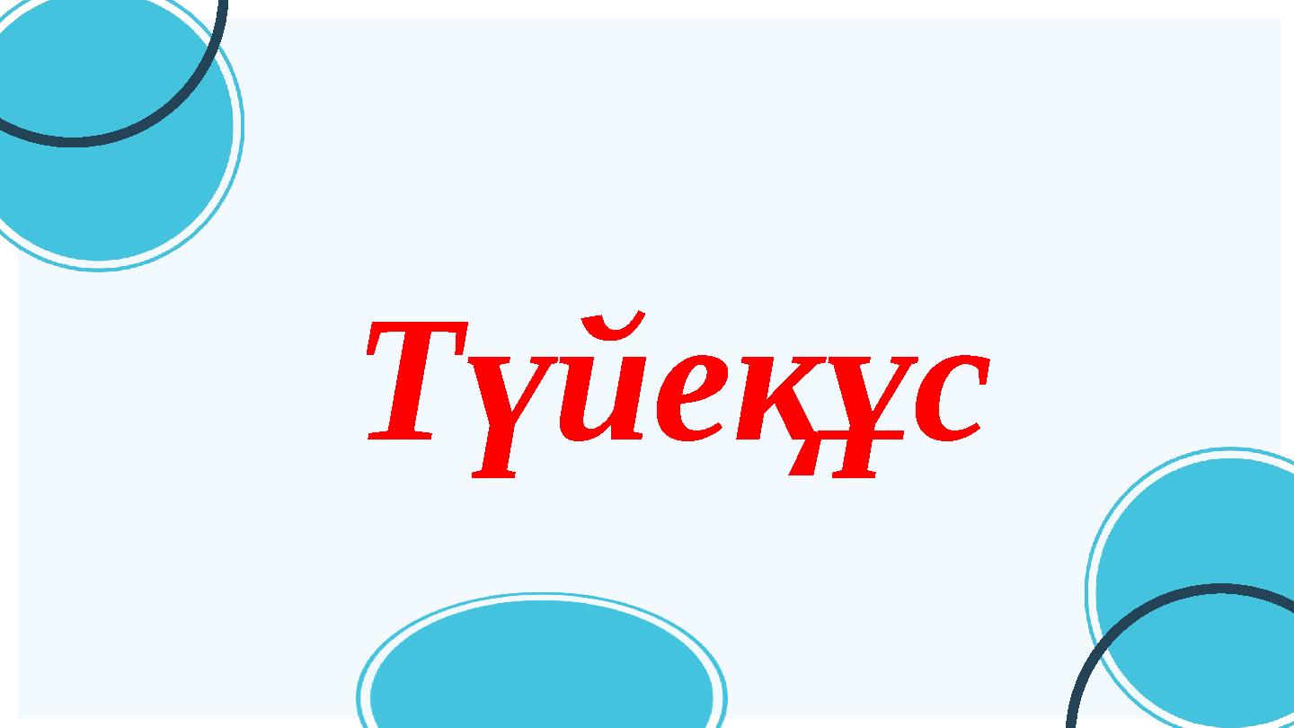 Түйеқұс