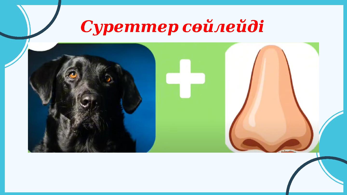 Суреттерсөйлейді