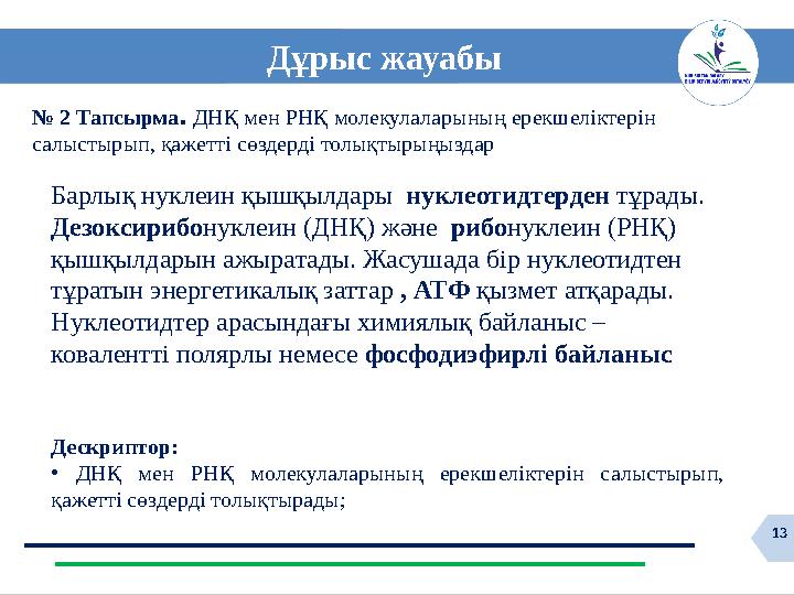 13 Дұрыс жауабы № 2 Тапсырма. ДНҚ мен РНҚ молекулаларының ерекшеліктерін салыстырып, қажетті сөздерді толықтырыңыздар Дескрипто