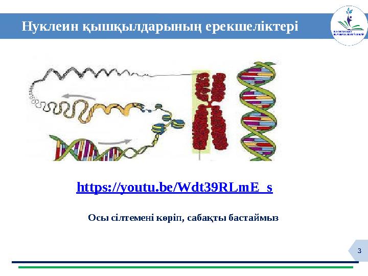 3 Осы сілтемені көріп, сабақты бастаймыз Нуклеин қышқылдарының ерекшеліктері https://youtu.be/Wdt39RLmE_s