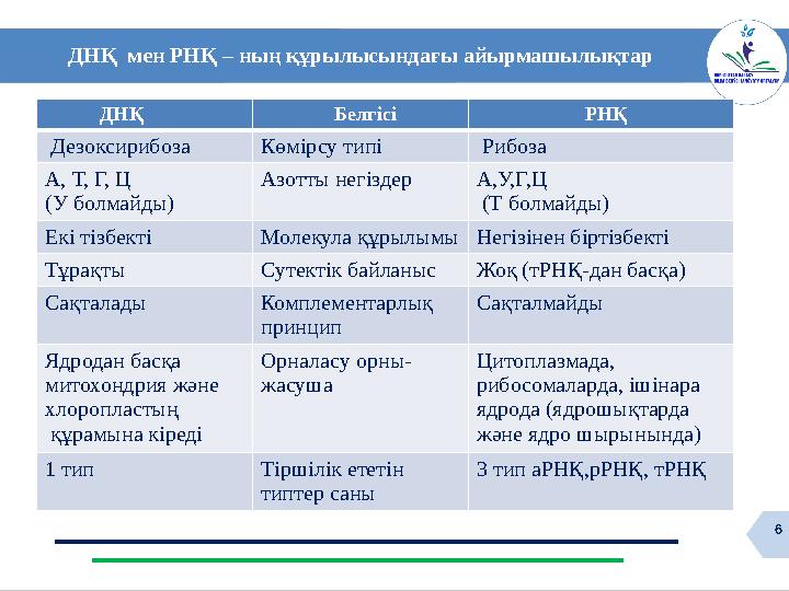 6 ДНҚ Белгісі РНҚ Дезоксирибоза Көмірсу типі Рибоза А, Т, Г, Ц (У болмайды) Азотты негіздер А,У,Г,Ц (Т бол