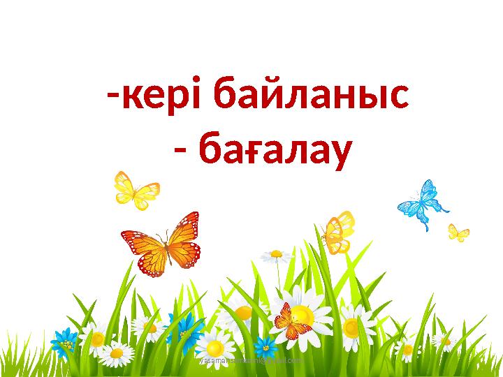 yasamansamsami@gmail.com -кері байланыс - бағалау