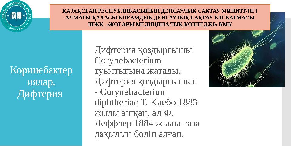 Коринебактер иялар. Дифтерия Дифтерия қоздырғышы Corynebacterium туыстығына жатады. Дифтерия қоздырғышын - Corynebacteriu