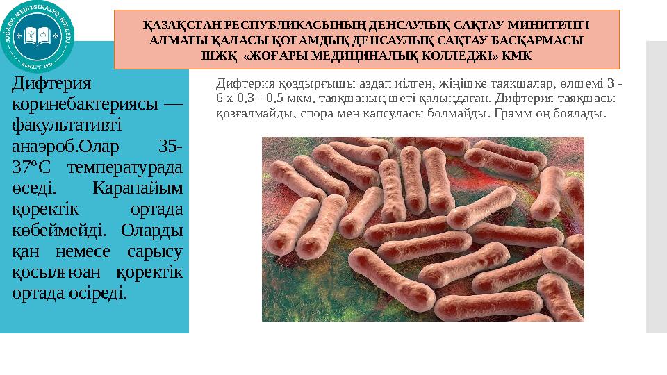 Дифтерия коринебактериясы — факультативті анаэроб.Олар 35- 37°С температурада өседі. Карапайым қоректік ортада көбеймейді