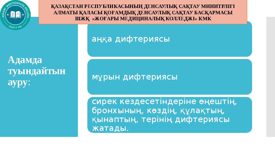 Тікелей эфирдегі тележүргізушінің секс видеосы