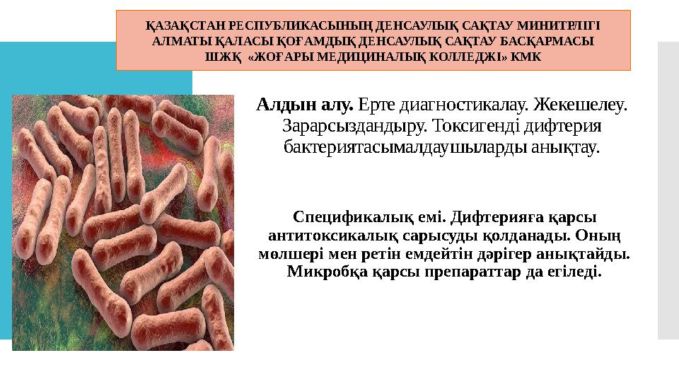 Алдын алу. Ерте диагностикалау. Жекешелеу. Зарарсыздандыру. Токсигенді дифтерия бактериятасымалдаушыларды анықтау. Спецификал