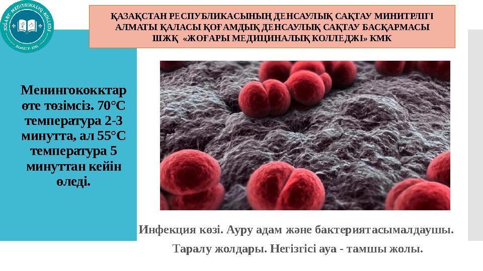 Менингококктар өте төзімсіз. 70°С температура 2-3 минутта, ал 55°С температура 5 минуттан кейін өледі. Инфекция көзі. Аур