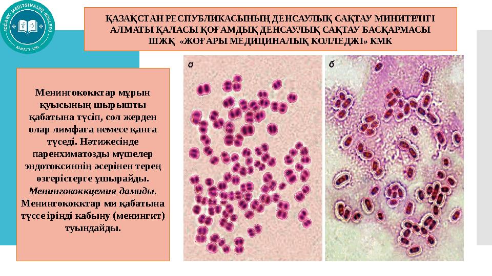 ҚАЗАҚСТАН РЕСПУБЛИКАСЫНЫҢ ДЕНСАУЛЫҚ САҚТАУ МИНИТРЛІГІ АЛМАТЫ ҚАЛАСЫ ҚОҒАМДЫҚ ДЕНСАУЛЫҚ САҚТАУ БАСҚАРМАСЫ ШЖҚ «ЖОҒАРЫ МЕДИЦИНАЛ