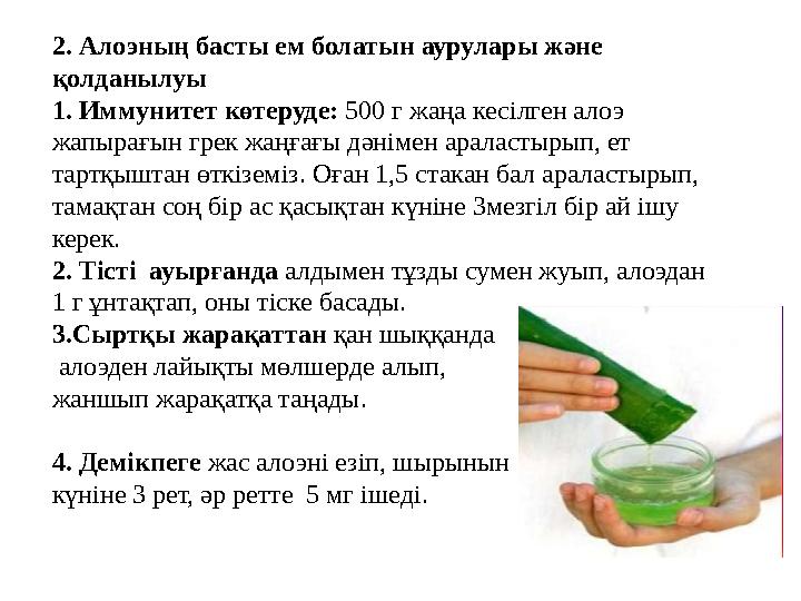 2. Алоэның басты ем болатын аурулары және қолданылуы 1. Иммунитет көтеруде: 500 г жаңа кесілген алоэ жапырағын грек жаңғағы дә