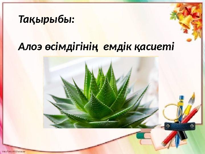 Тақырыбы: Алоэ өсімдігінің емдік қасиеті