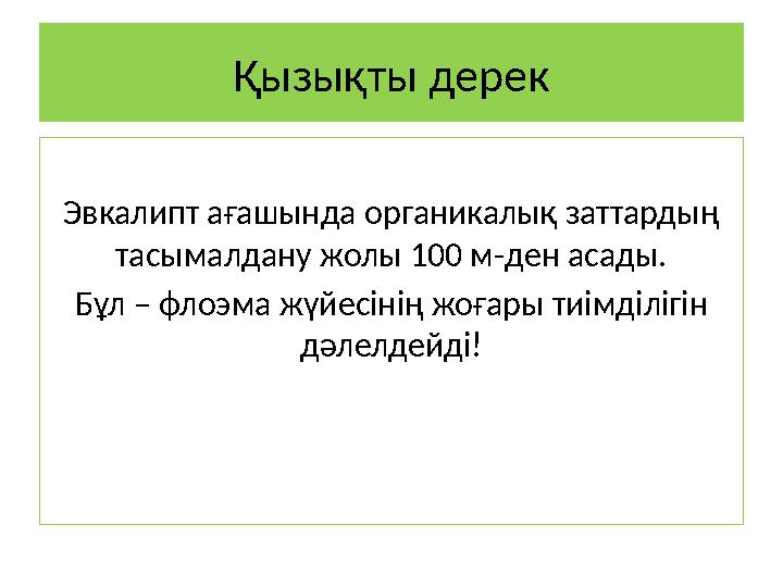 Қызықты дерек Эвкалипт ағашында органикалық заттардың тасымалдану жолы 100 м-ден асады. Бұл – флоэма жүйесінің жоғары тиімділіг
