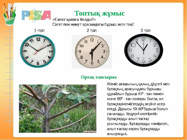 Топтық жұмыс «Сағат қанша болды?» Сағат пен минут арасындағы бұрыш неге тең? 1-топ 2 топ 3 топ Ортақ тапсырма Жеміс ағашының қал