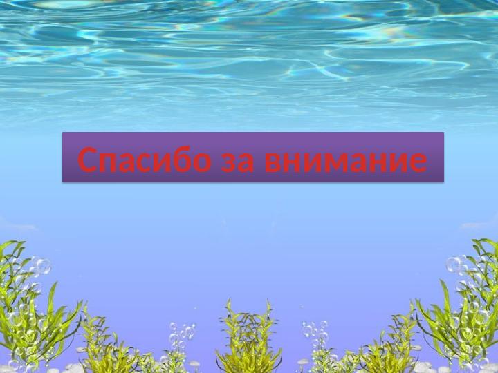 Спасибо за внимание