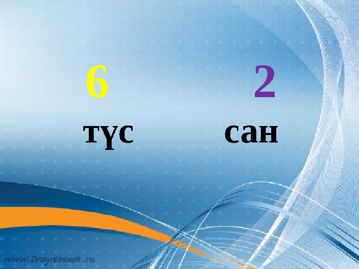 6 2 түс сан