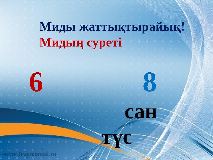 Миды жаттықтырайық! Мидың суреті 6 8 сан түс