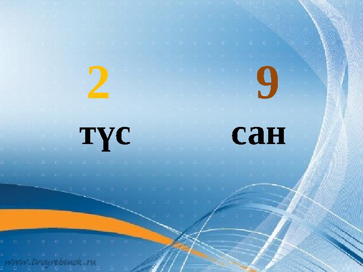 2 9 түс сан