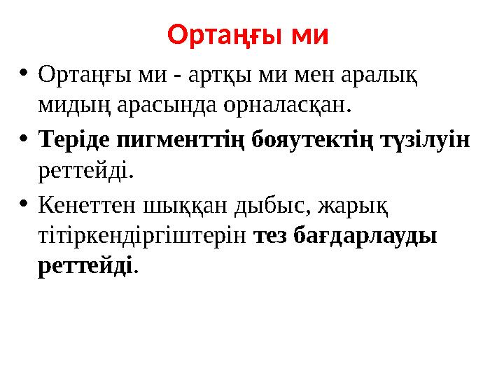 Ортаңғы ми •Ортаңғы ми - артқы ми мен аралық мидың арасында орналасқан. •Теріде пигменттің бояутектің түзілуін реттейді. •Ке