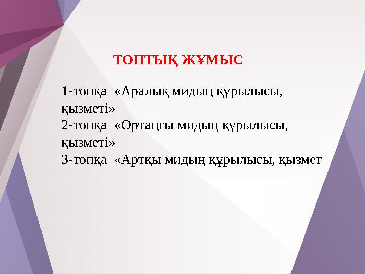 ТОПТЫҚ ЖҰМЫС 1-топқа «Аралық мидың құрылысы, қызметі» 2-топқа «Ортаңғы мидың құрылысы, қызметі» 3-топқа «Артқы мидың құрылы