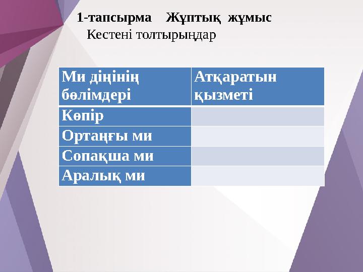 Ми діңінің бөлімдері Атқаратын қызметі Көпір Ортаңғы ми Сопақша ми Аралық ми 1-тапсырма Жұптық жұмыс Кестені тол