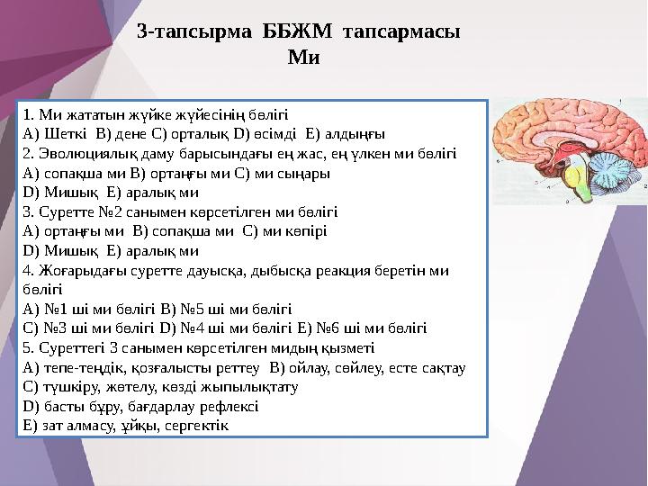 3-тапсырма ББЖМ тапсармасы Ми 1. Ми жататын жүйке жүйесінің бөлігі A) Шеткі B) дене C) орталық D)
