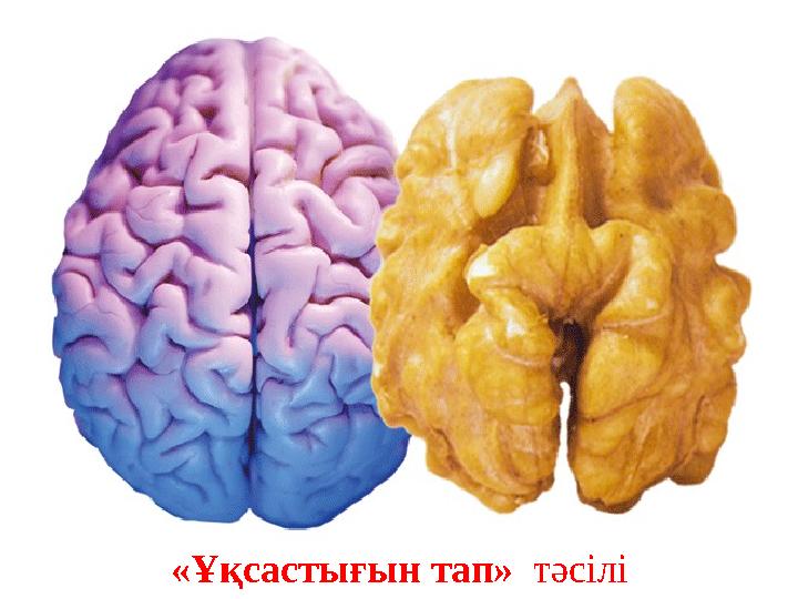 «Ұқсастығын тап» тәсілі